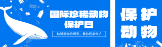 国际珍稀动物保护日宣传公众号双封面 模板ID：s5236