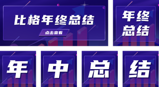 数据报表汇报年终总结 模板ID：s528