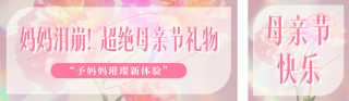 母亲节送礼攻略指南分享公众号双封面 模板ID：s5329