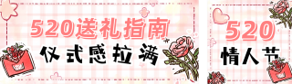 520情人节送礼指南宣传公众号双封面 模板ID:s5420