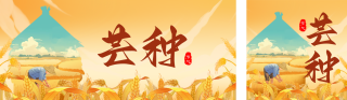 芒种节气祝福宣传公众号双封面 模板ID：s5558