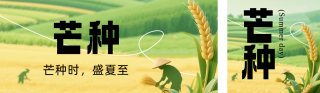 芒种节气绿色简约公众号双封面 模板ID:s5560