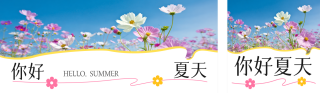 你好夏天实景文艺祝福公众号双封面 模板ID：s5638