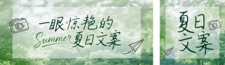 夏日文案分析公众号双封面 模板ID:s5731