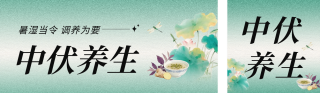 中伏传统养生科普公众号双封面 模板ID:s5830