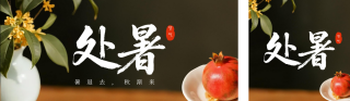 处暑节气实景手机宣传公众号双封面 模板ID:s6017