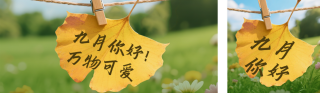 九月你好手机宣传公众号双封面 模板ID：s6071