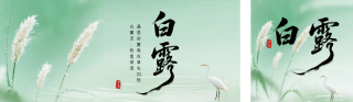 实景白露节气祝福公众号双封面 模板ID:s6109