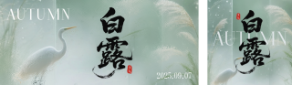 白露节气祝福公众号双封面 模板ID:s6121
