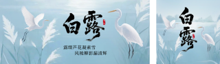 白露节气公众号双封面 模板ID:s6141
