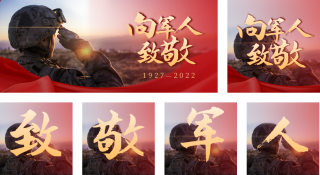 八一建军节军人致敬宣传 模板ID:s627