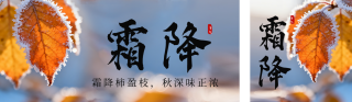 霜降节气实景树叶公众号双封面 模板ID:s6355