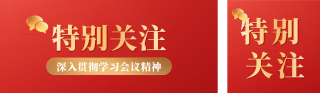 简约政务新闻热点公众号双封面 模板ID:s6549