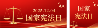 党政宪法日宣传推广公众号双封面 模板ID：s6685