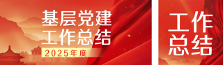 党建工作年终总结红色简约公众号双封面 模板ID:s6865