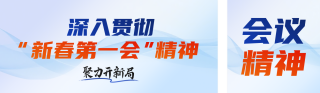 党政会议精神解读公众号双封面 模板ID:s6969