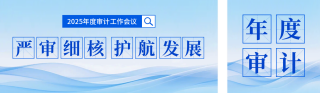 年度审计工作会议宣传公众号双封面 模板ID:s6971