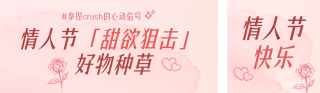 情人节好物种草攻略公众号双封面 模板ID：s7148