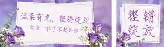 紫色妇女节节日祝福文艺简约公众号双封面 模板ID:s7225