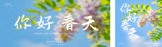 蓝色简约春天日签公众号双封面 模板ID:s7276