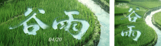清新文艺谷雨公众号双封面 模板ID：s7751