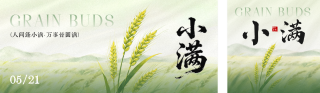 小满节气祝福公众号双封面 模板ID:s8047