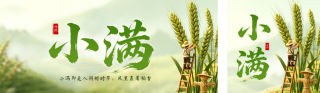 3D小满节气祝福公众号双封面 模板ID:s8065
