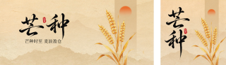 芒种节气怀旧风祝福公众号双封面 模板ID：s8115