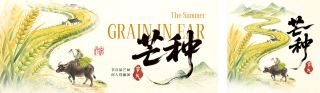 芒种节气手绘宣传公众号双封面 模板ID：s8122