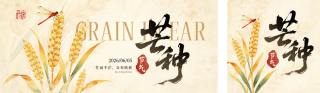 芒种节气麦穗宣传公众号双封面 模板ID：s8124