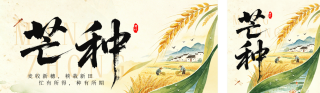 芒种节气手绘公众号双封面 模板ID：s8146