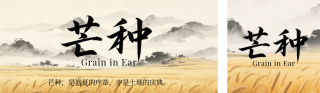 芒种习俗介绍古风简约公众号双封面 模板ID:s8189