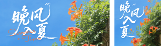简约夏季祝福晚风入夏公众号双封面 模板ID:s8194