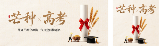 芒种高考加油手绘祝福公众号双封面 模板ID：s8221