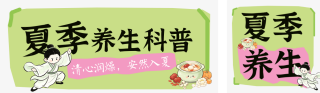 夏季养生科普公众号双封面 模板ID:s8578