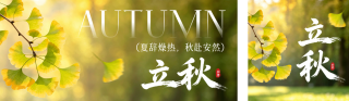 立秋实景银杏叶祝福公众号双封面 模板ID：s8672