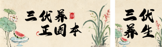 三伏养生健康古风公众号双封面 模板ID：s8682