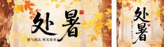 处暑节气治愈秋日枫叶公众号双封面 模板ID：s8767
