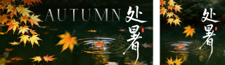 处暑实景祝福公众号双封面 模板ID:s8805
