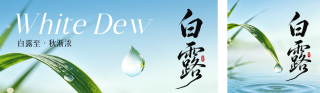 白露实景祝福公众号双封面 模板ID:s8885