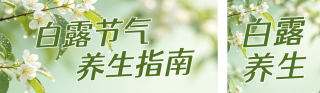白露节气养生公众号双封面 模板ID:s8928