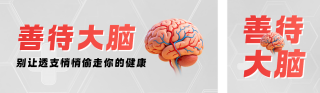 脑健康知识科普简约公众号双封面 模板ID：s9007