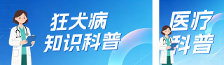 狂犬病健康知识科普公众号双封面 模板ID:s9167