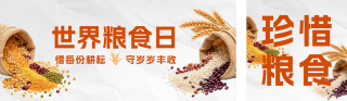 世界粮食日宣传公众号双封面 模板ID：s9257