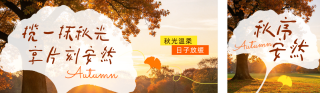 秋日文案实景宣传公众号双封面 模板ID：s9268