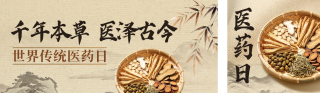 世界传统医药日宣传公众号双封面 模板ID：s9330