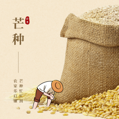 芒种收获实景节气方形海报 模板ID：12942