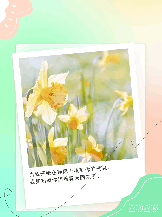 你好三月文艺动态公众号新图文 模板ID：47207
