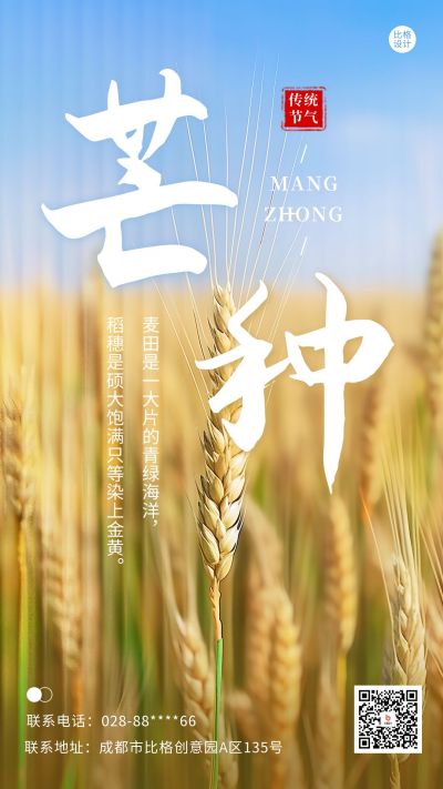 芒种节气麦穗实景手机海报 模板ID：52472