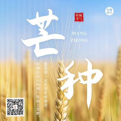 芒种节气麦穗实景方形海报 模板ID：52476